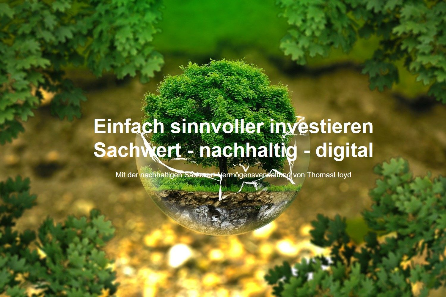 tl-vvw-titel3.jpg