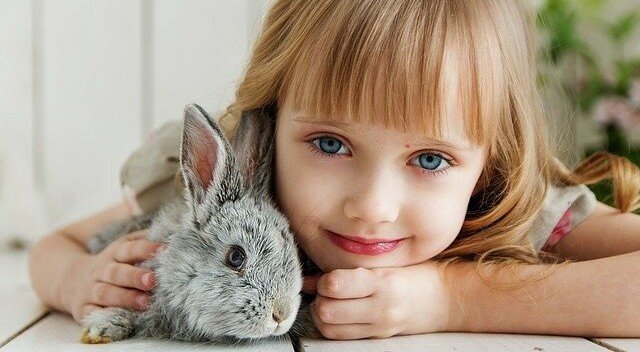 Kaninchenvversicherung