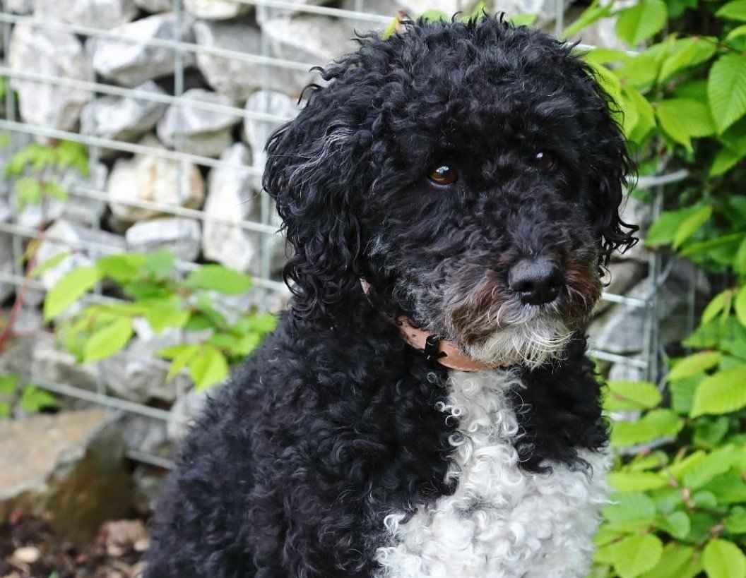 MAWA Finanz Versicherungsmakler
Lucky Versicherungen für Bochum