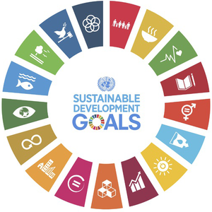 grün vorsorgen und die 17 Sustainable Development Goals