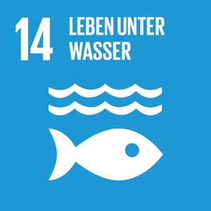 grün vorsorgen unterstützt das SDG 14 Leben unter Wasser