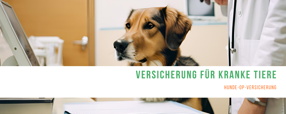 Versicherungsmakler Bremen - Hunde-OP-Versicherung