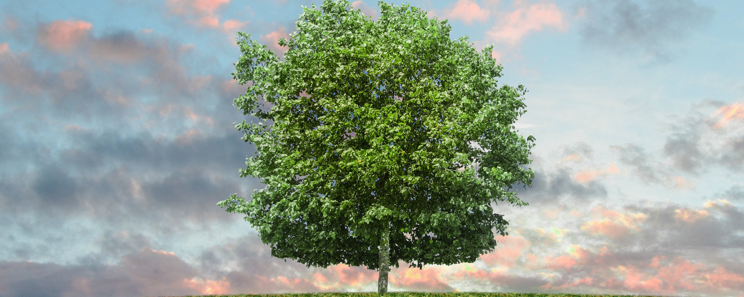 Maurakonzept Empfehlung bei Beratung