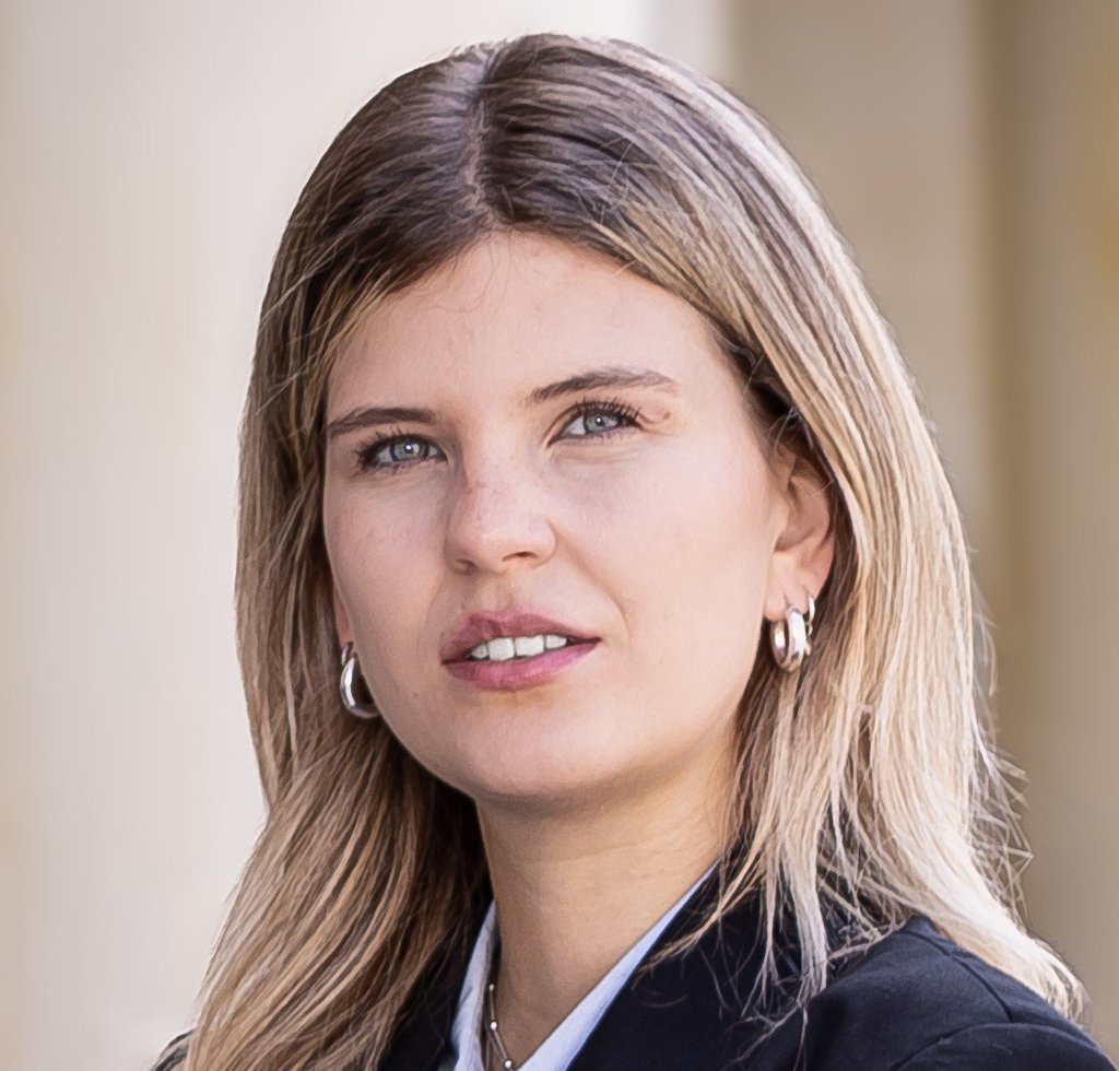 Fiona Schwesig: Geschäftsführerin und Beraterin