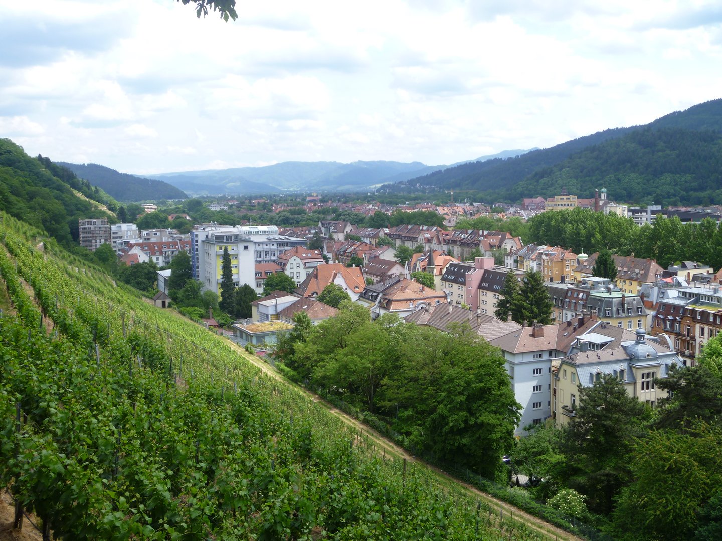 Über Michael Schreiber Versicherungsmakler für Ärzte Freiburg